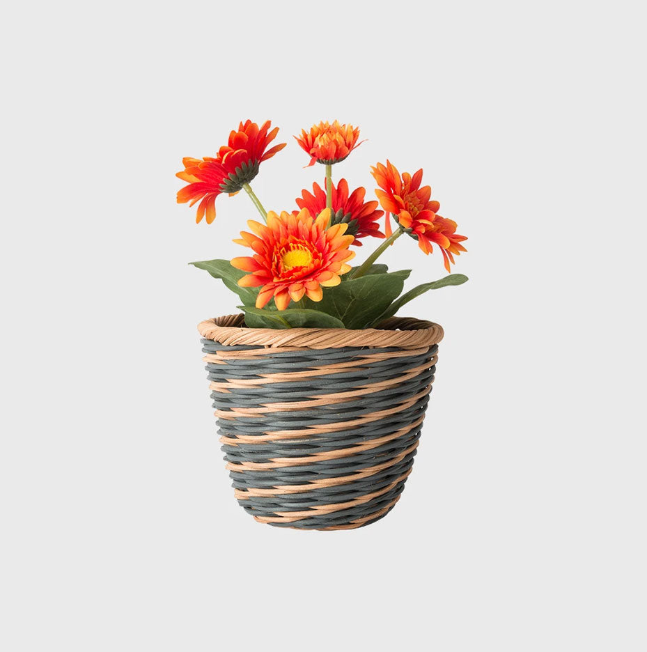 Wooden Bowl